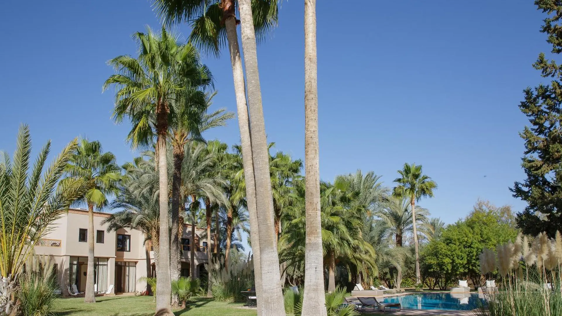 Willa Maggy Rose Marrakesz