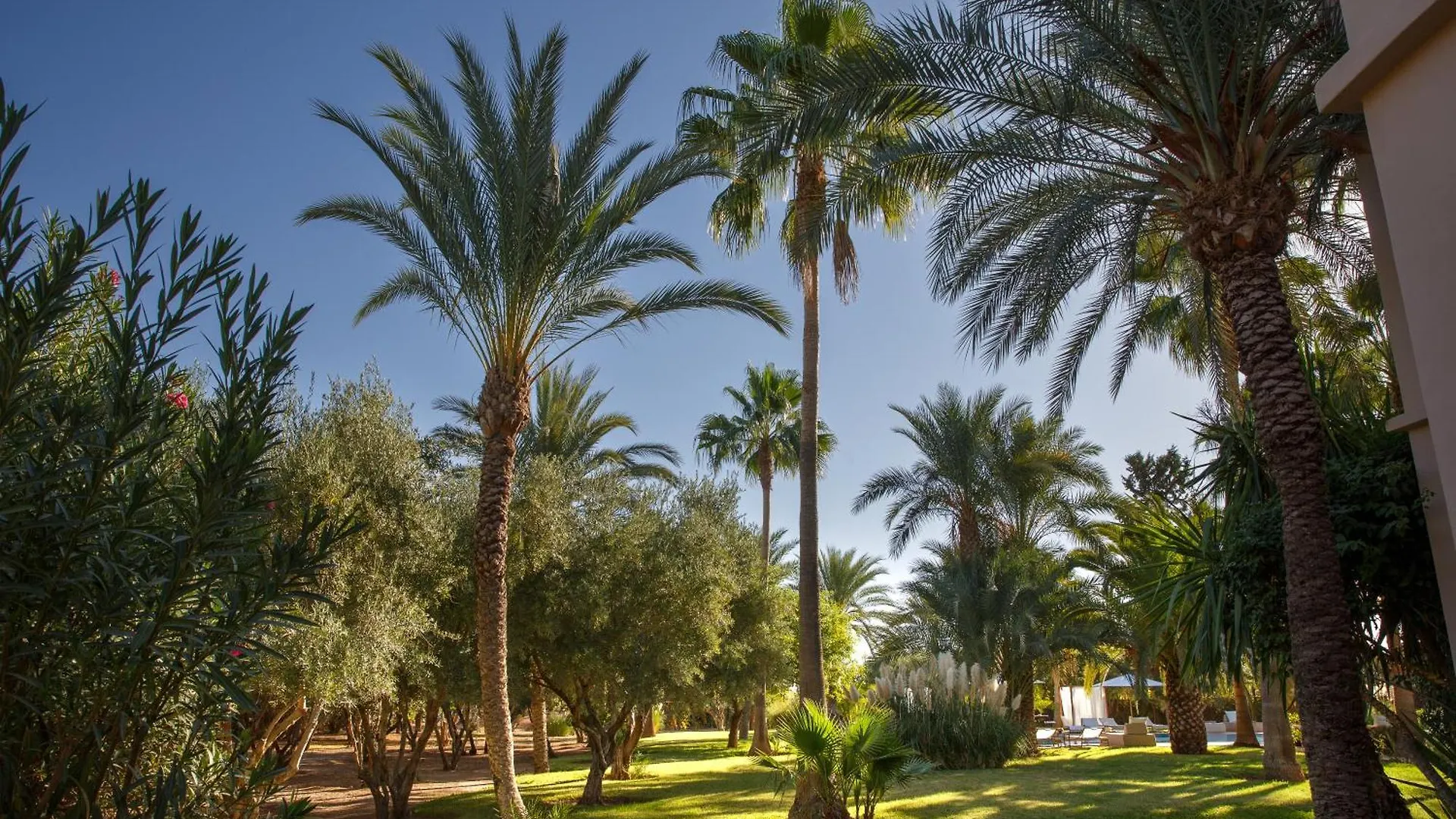 Maggy Rose Villa Marrakesh Marocko
